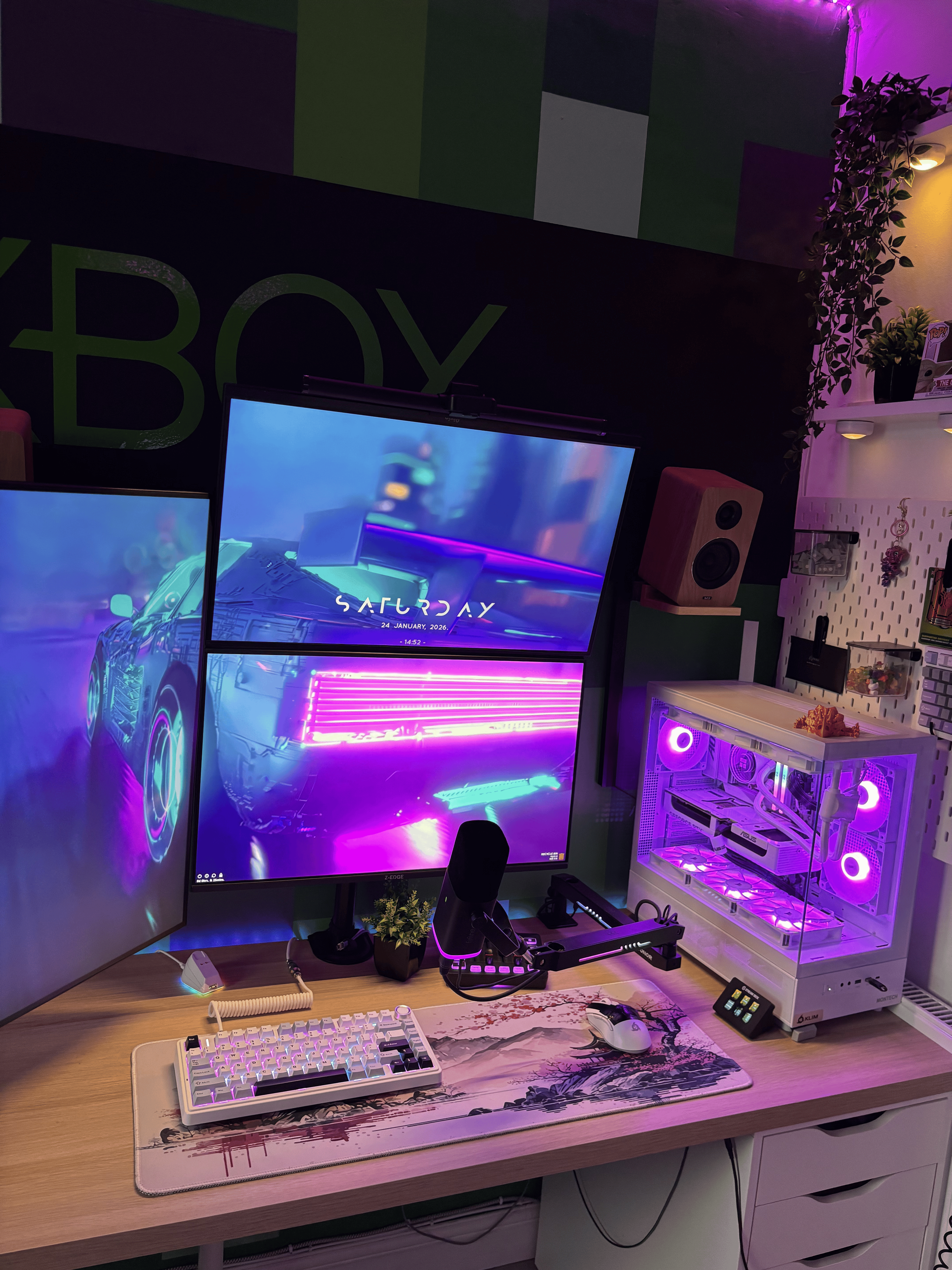 Full gaming and streaming setup